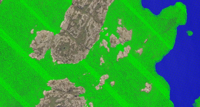 Leading with vast experience